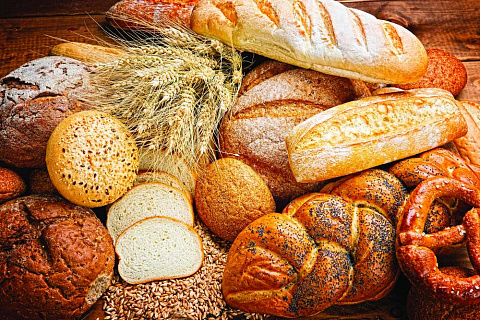 Влияние заквасок на устойчивость хлеба к плесневению