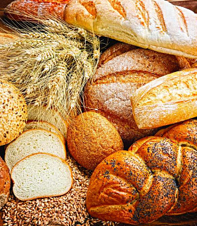 Влияние заквасок на устойчивость хлеба к плесневению