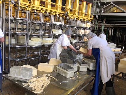 На Угличском сыродельно-молочном заводе завершается первый этап модернизации